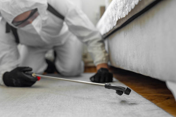 Professional Pest Control technician working in Adams County County, CO